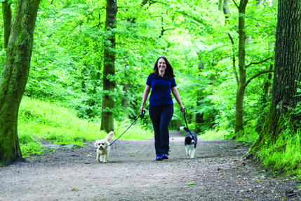 What to consider when choosing a dog walker